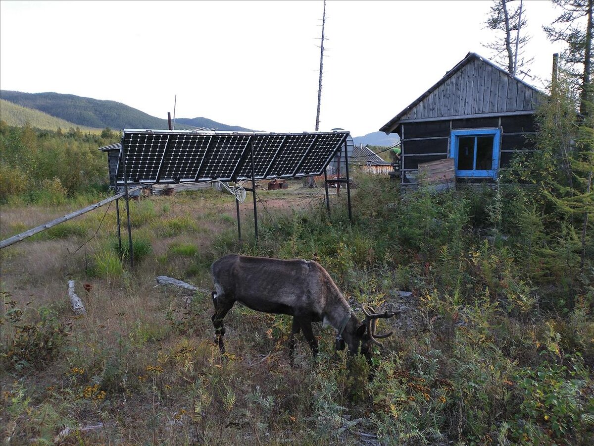 Солнечные панели