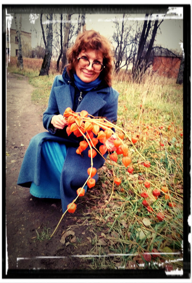 Это не розы, конечно, - это фризалис, что растёт у нас во дворах