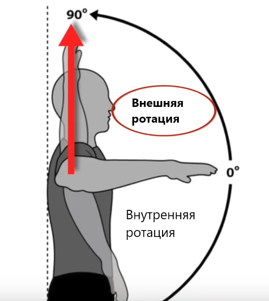 Поворот плеча внутрь