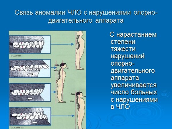 Рисунок из учебника Ф.Я.Хорошилкиной
