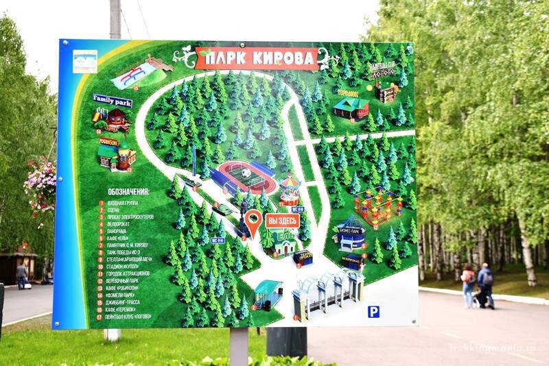 Фото: Лена Колоколова