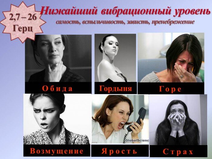 При помощи тех же томографов было установлено, что звуковые волны сверхнизкой частоты (злость, гнев, ревность, зависть) способны активизировать определенные участки мозга, вступая с ними в резонансные волновые взаимодействия и имея негативное воздействие на питание клеток того или иного органа или системы. Было доказано, что прежде всего низкочастотные эмоции негативно воздействуют на иммунитет человека. Для каждого сегмента мозга, отвечающего за то или иное эмоциональное состояние, характерна своя частота активизации.