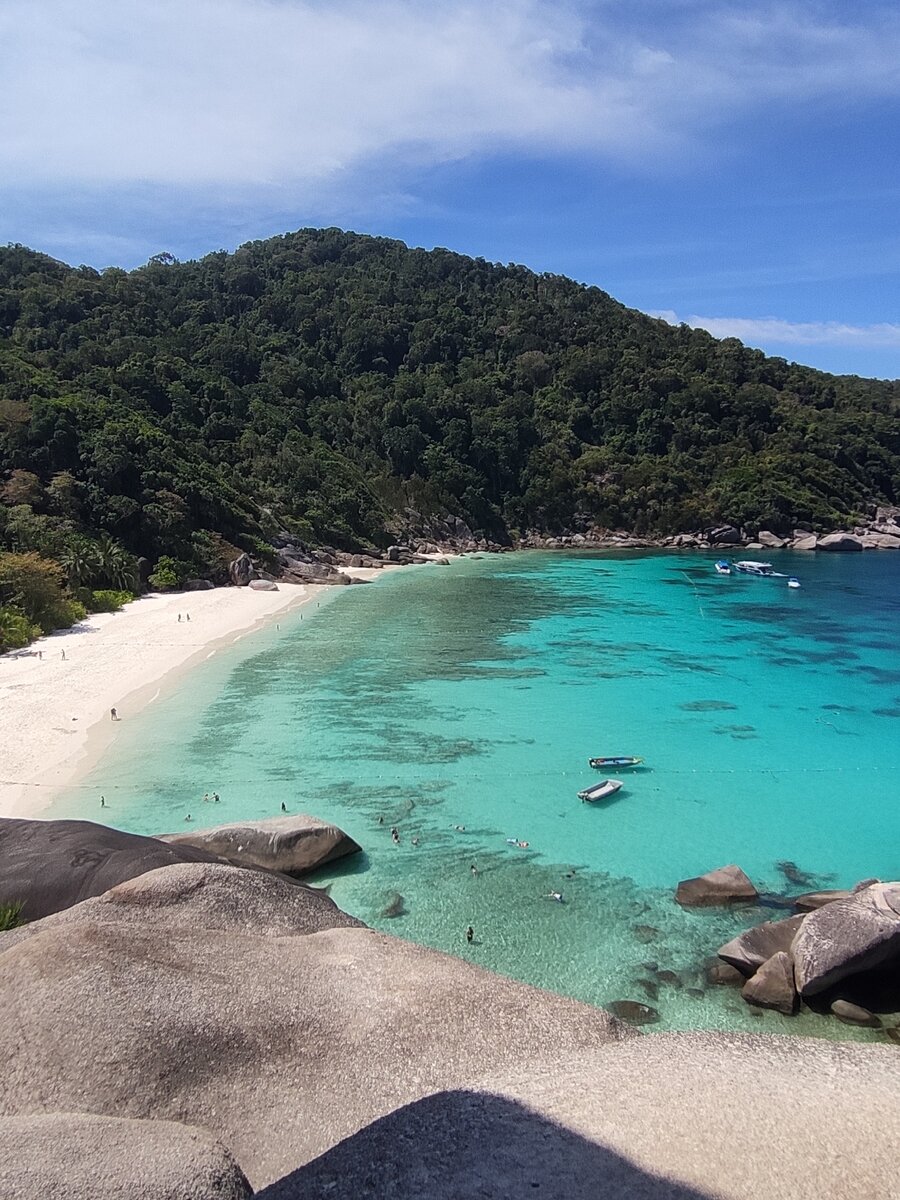 Из больницы мне не позвонили. 