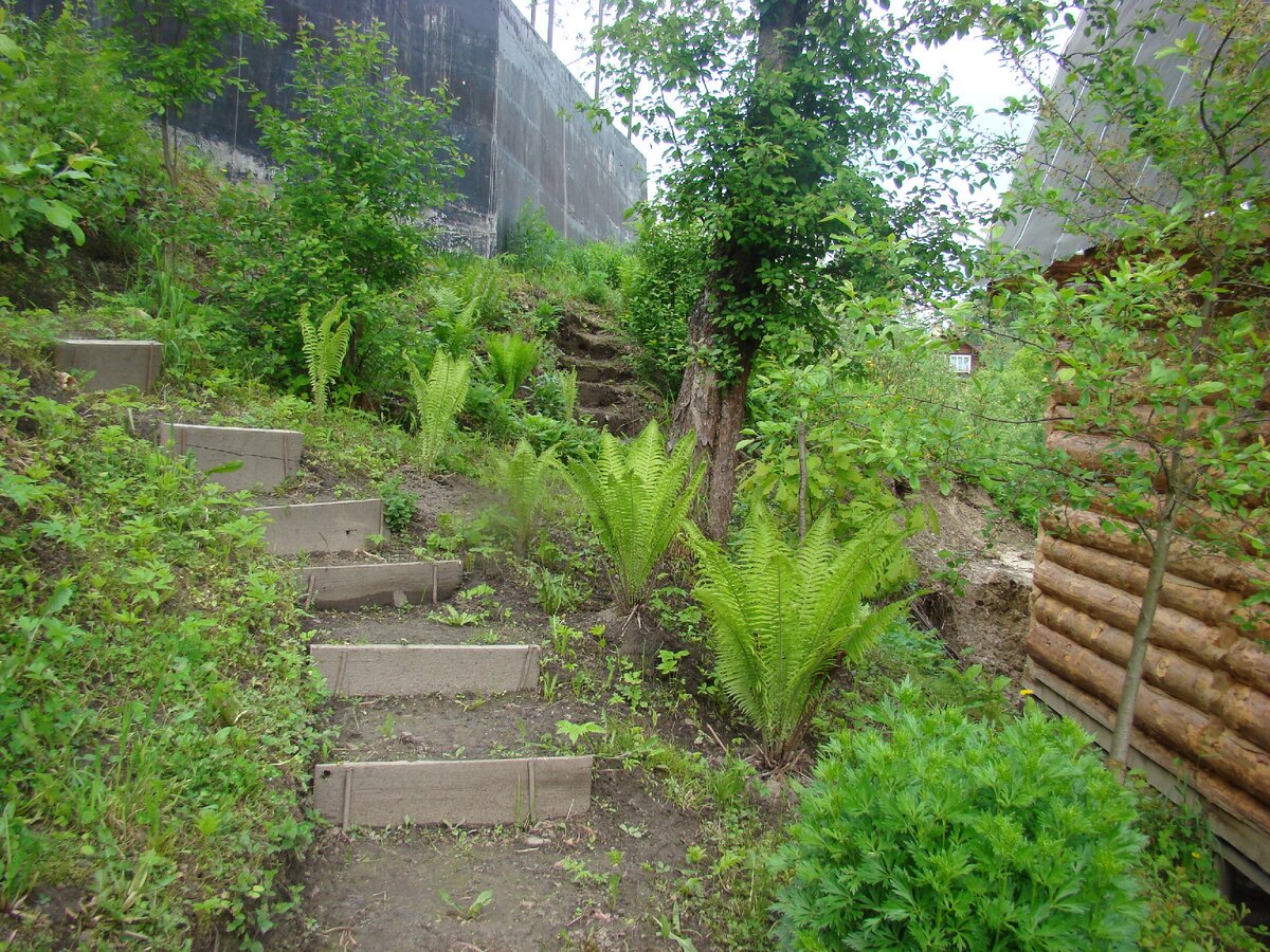 Там, за яблоней, этот уголок, о котором пойдет речь.