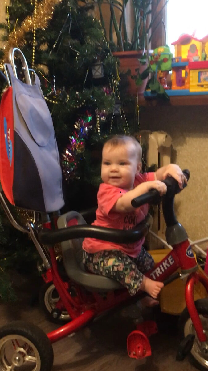 Обожает уже сидеть, но я разрешаю минут по пять ей находиться в таком положении. У меня на коленках она сидит дольше.