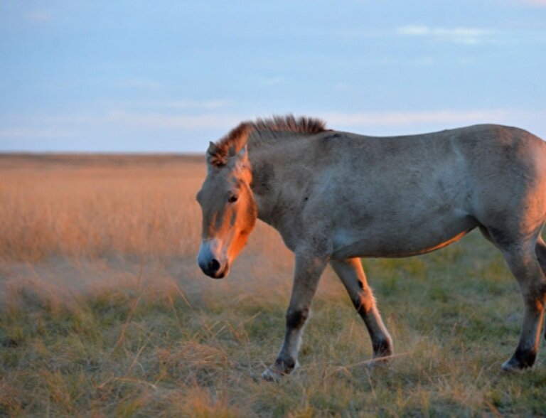 Фото из открытых источников