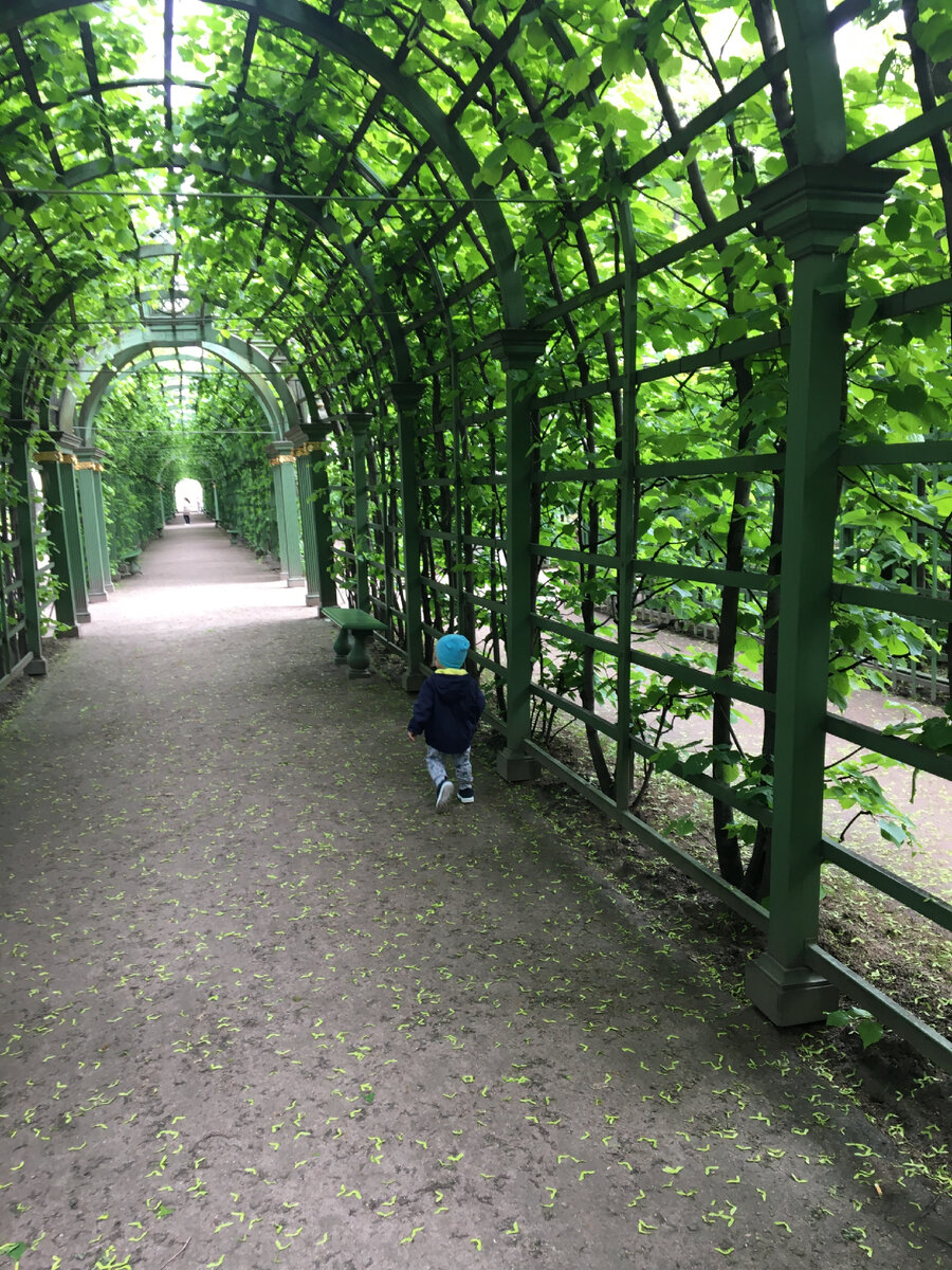 Прогулка в парке 