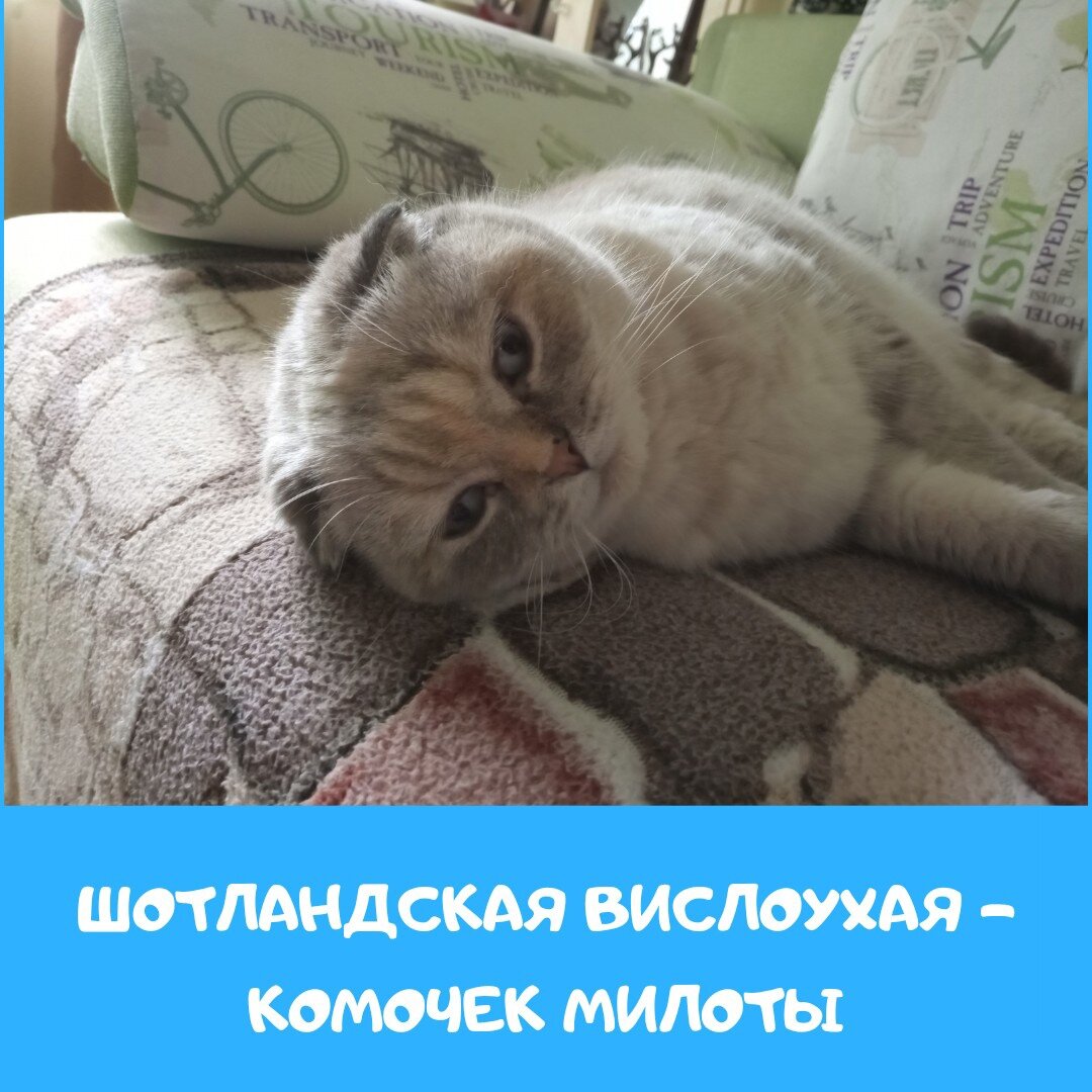 Лилу