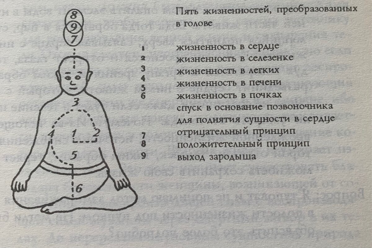 Метод магнетизма: Алхимия сексуальности. Модуль 4