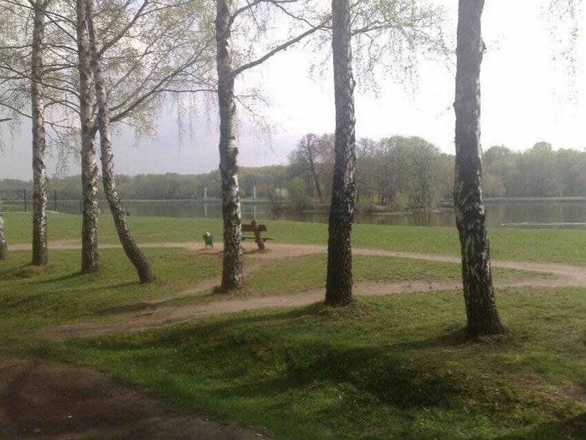 Вид на Большой дворцовый пруд. Лесопарк Кусково. Фото с сайта mos-holidays.ru