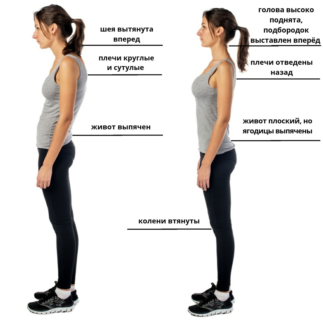 Что должно стоять на месте. Правильная осанка. RFR ghfdbkmyj держать осанку. Правильное положение спины. Прямая осанка.