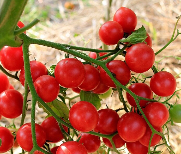 Балконное чудо