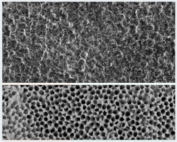 Так выглядят поры под микроскопом при разной степени увеличения 