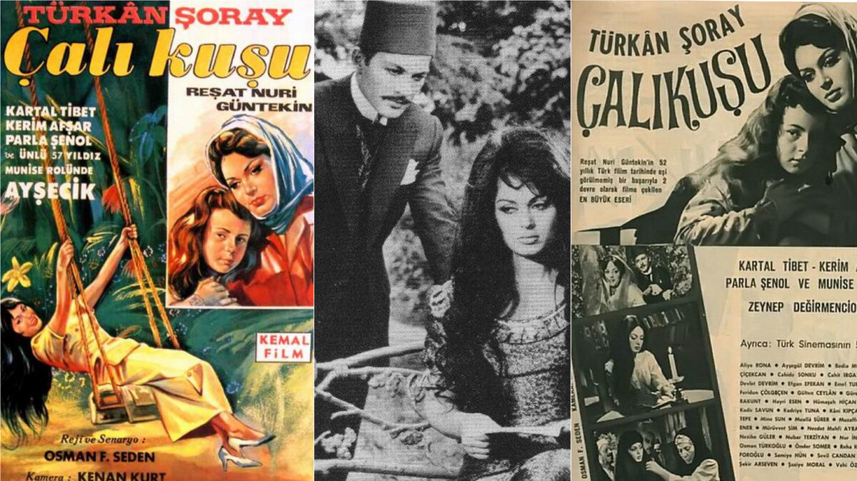 Первая экранизация "Королька" вышла аж в 1966 году с Тюркан Шорай в главной роли