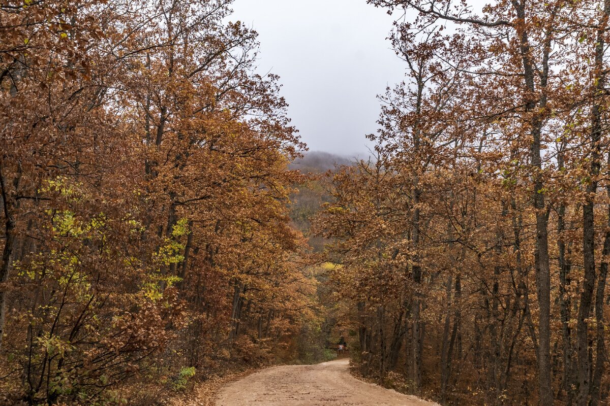 Дорога от поселка Мраморная к пещерам... ещё 8 фото.