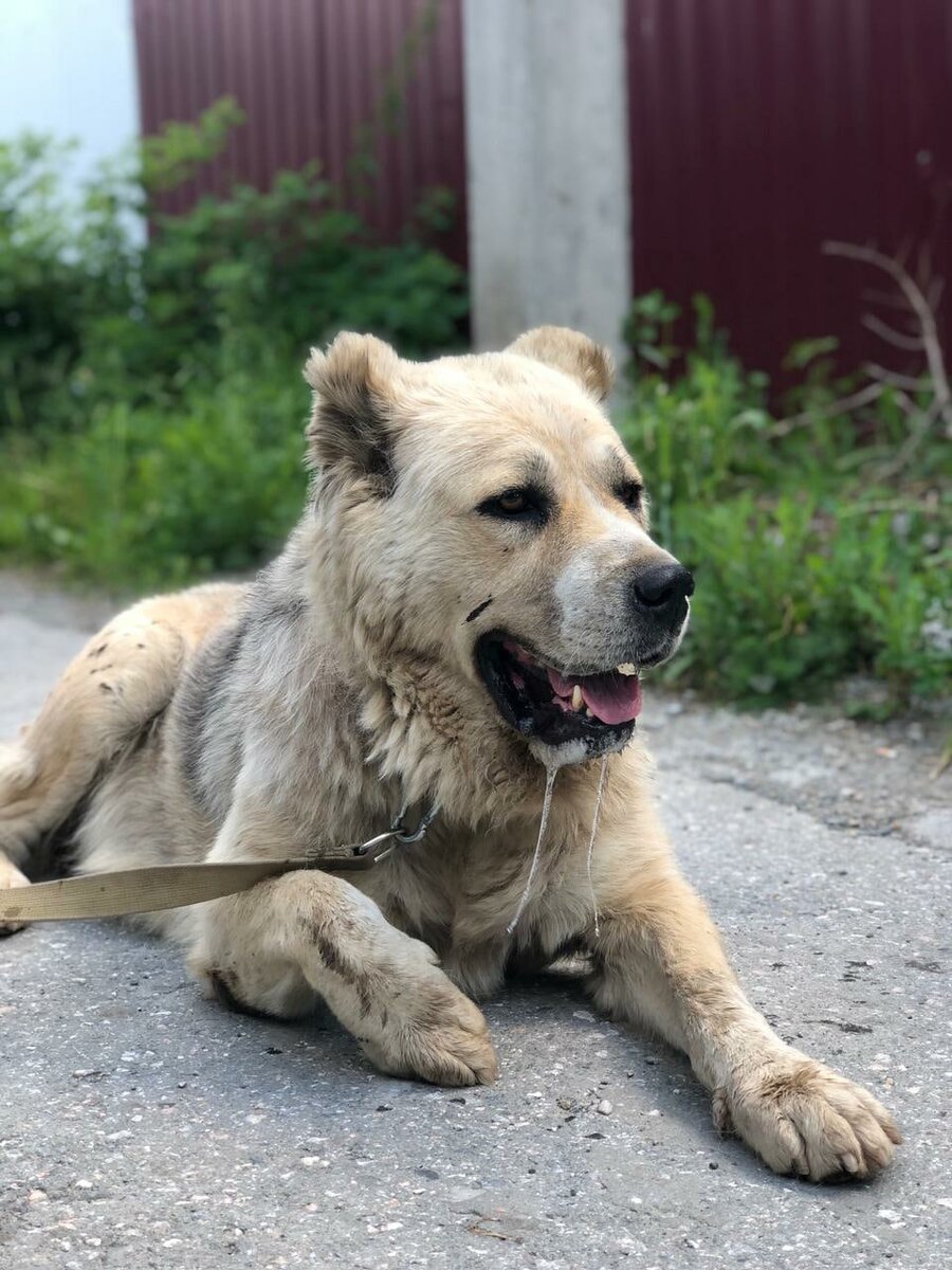 Умка первые минуты в доме САО 