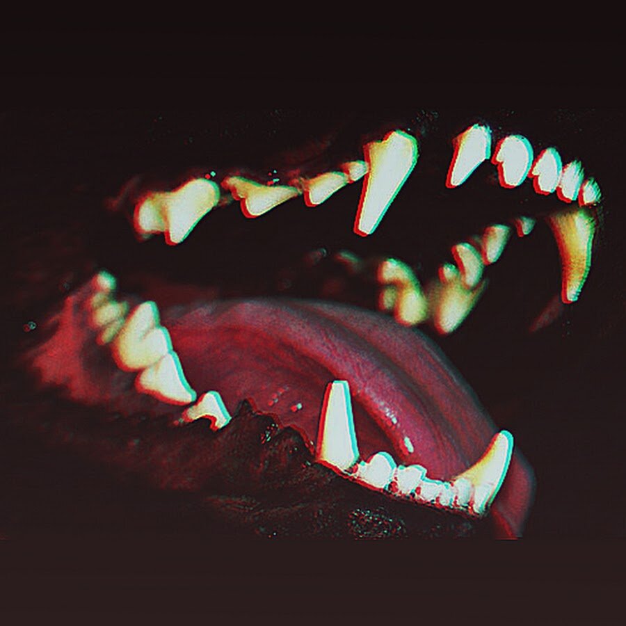 Фото взято из интернета