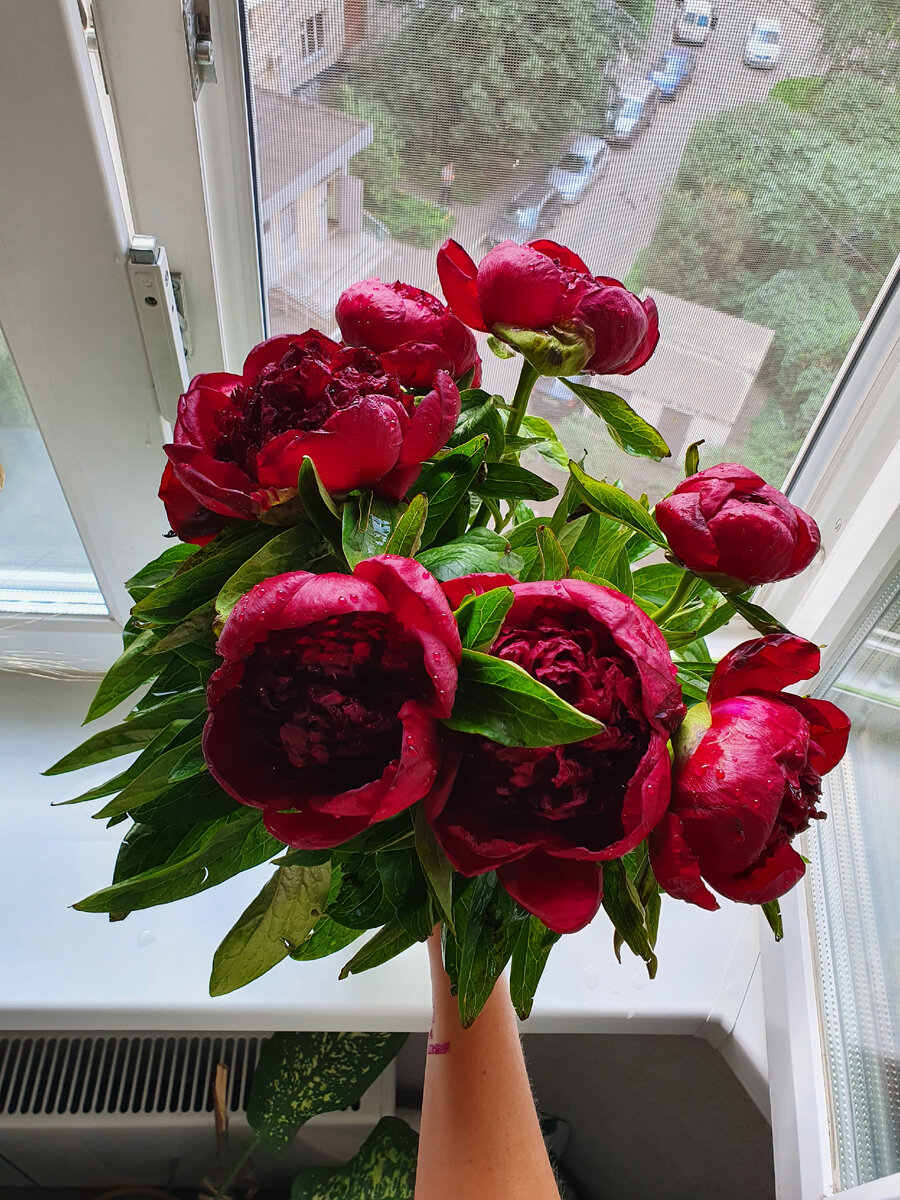 Фото автора.