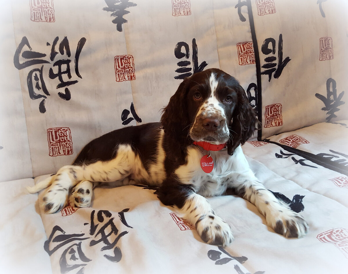 Первый день дома