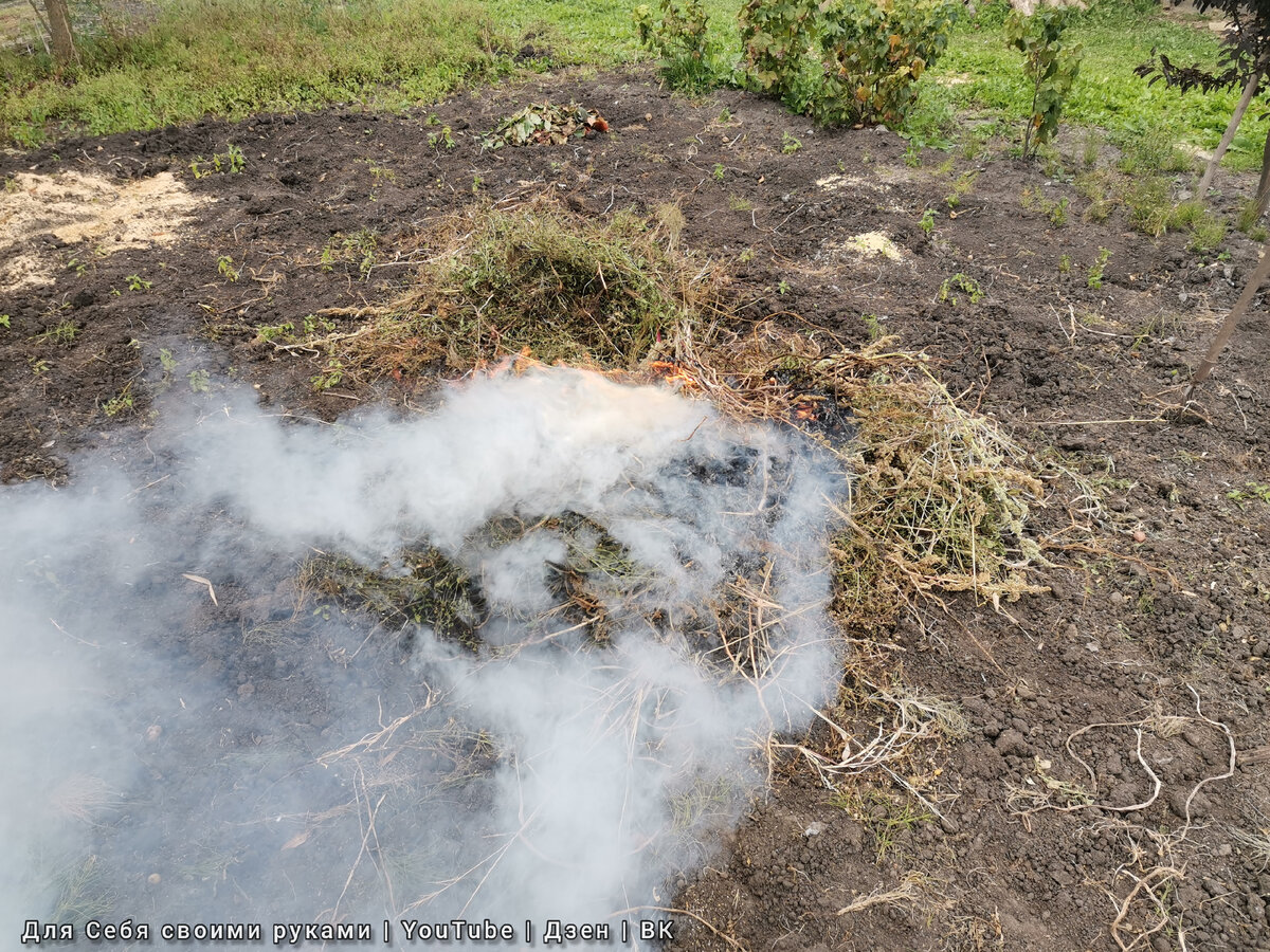 Можно ли сжечь растения. Почва после сжигания травы. Удаление кустарниковой растительности сжигание.