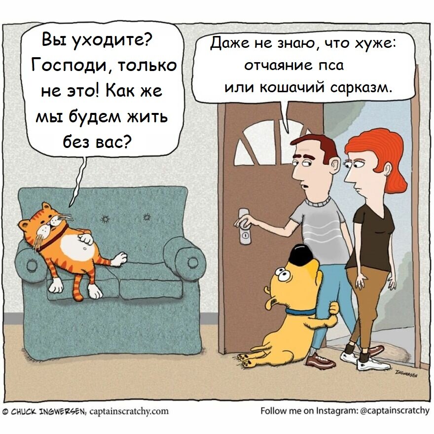 Фото: www.instagram.com/captainscratchy 