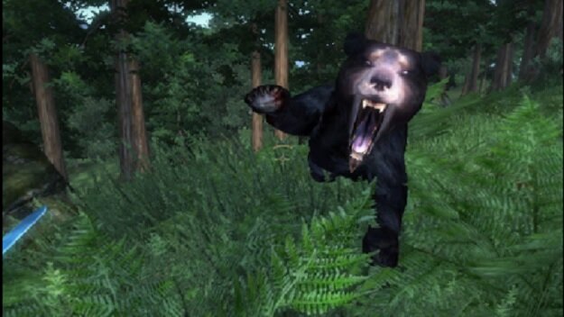 Черный медведь в прыжке