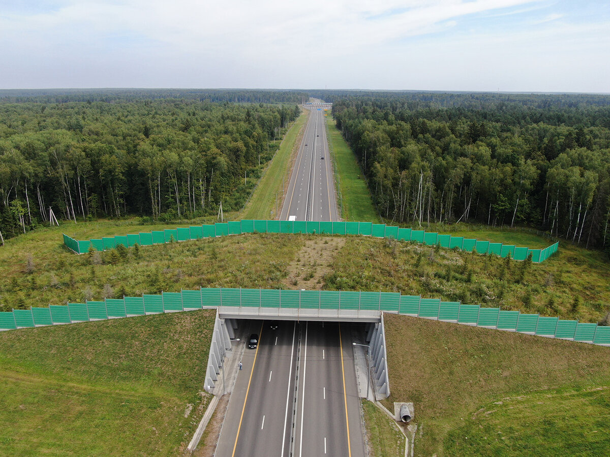 Green most. Экодук в Калужской области. Мост экодук Калуга. Экодук 184 км. дороги м-1. Экодук Лосиный остров.