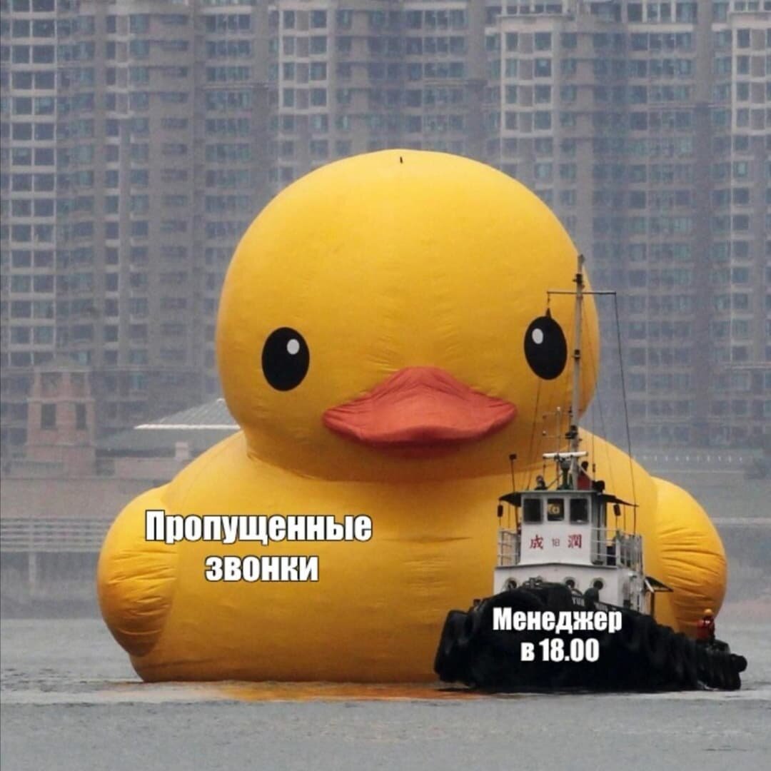 Трактовка ситуации автором