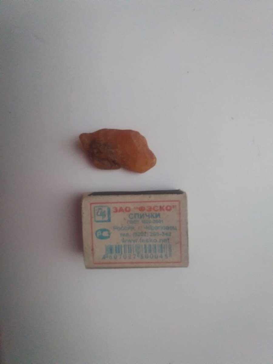 Коллекция находок / фото автора