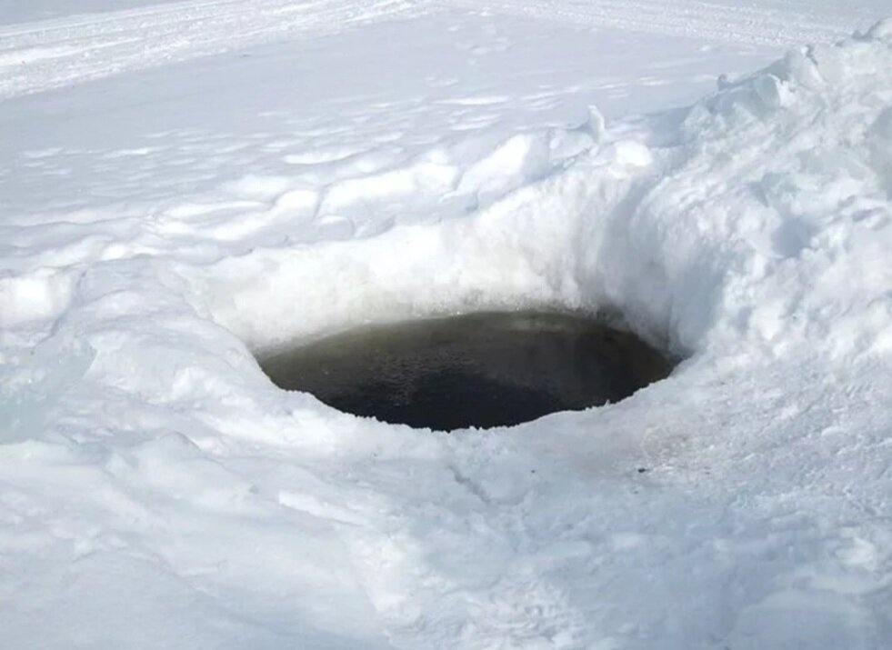 Фото из открытого источника сети интерет 