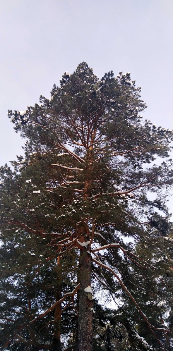 Фото с прогулки