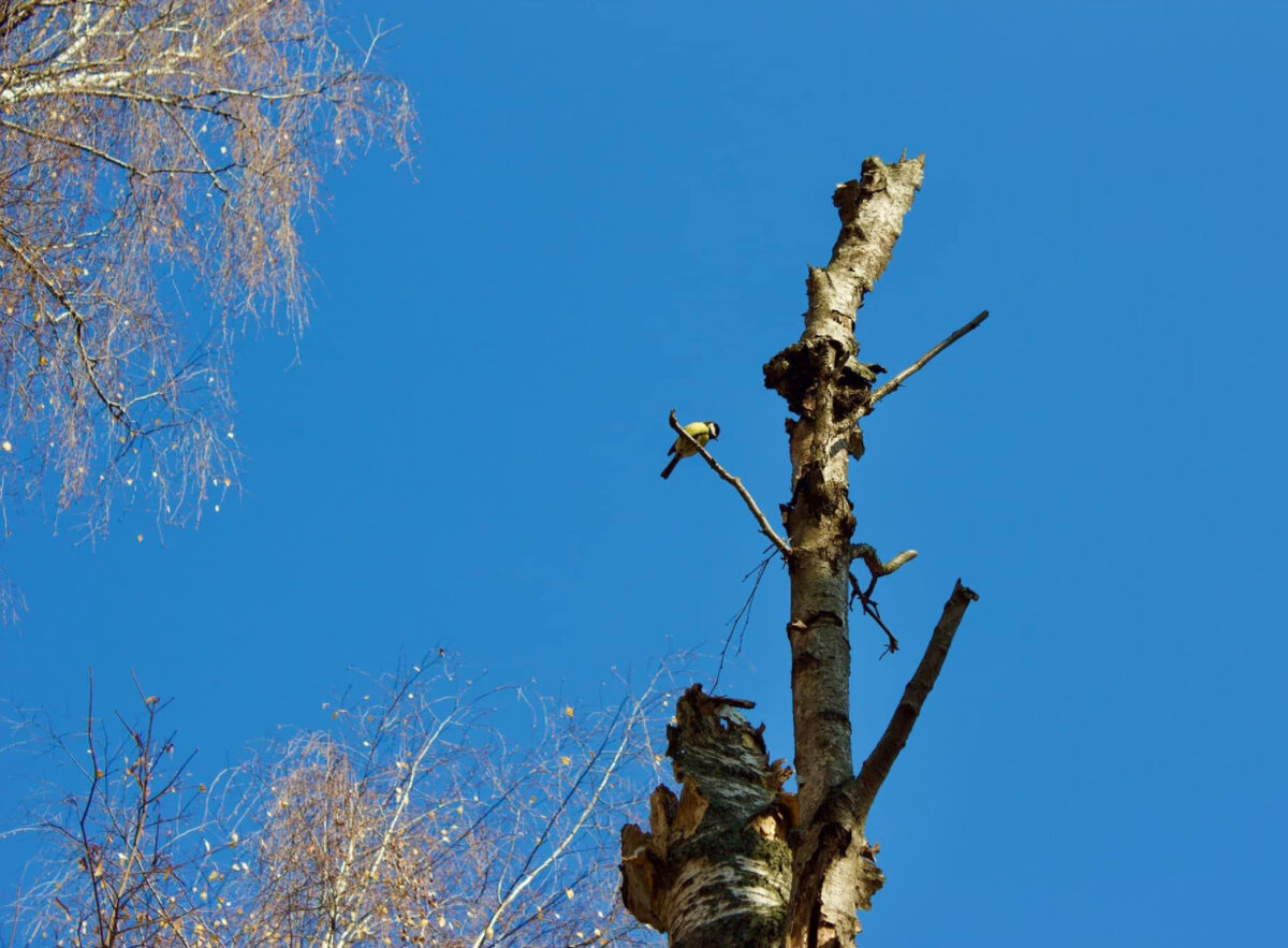 Фото Е. Лазурина