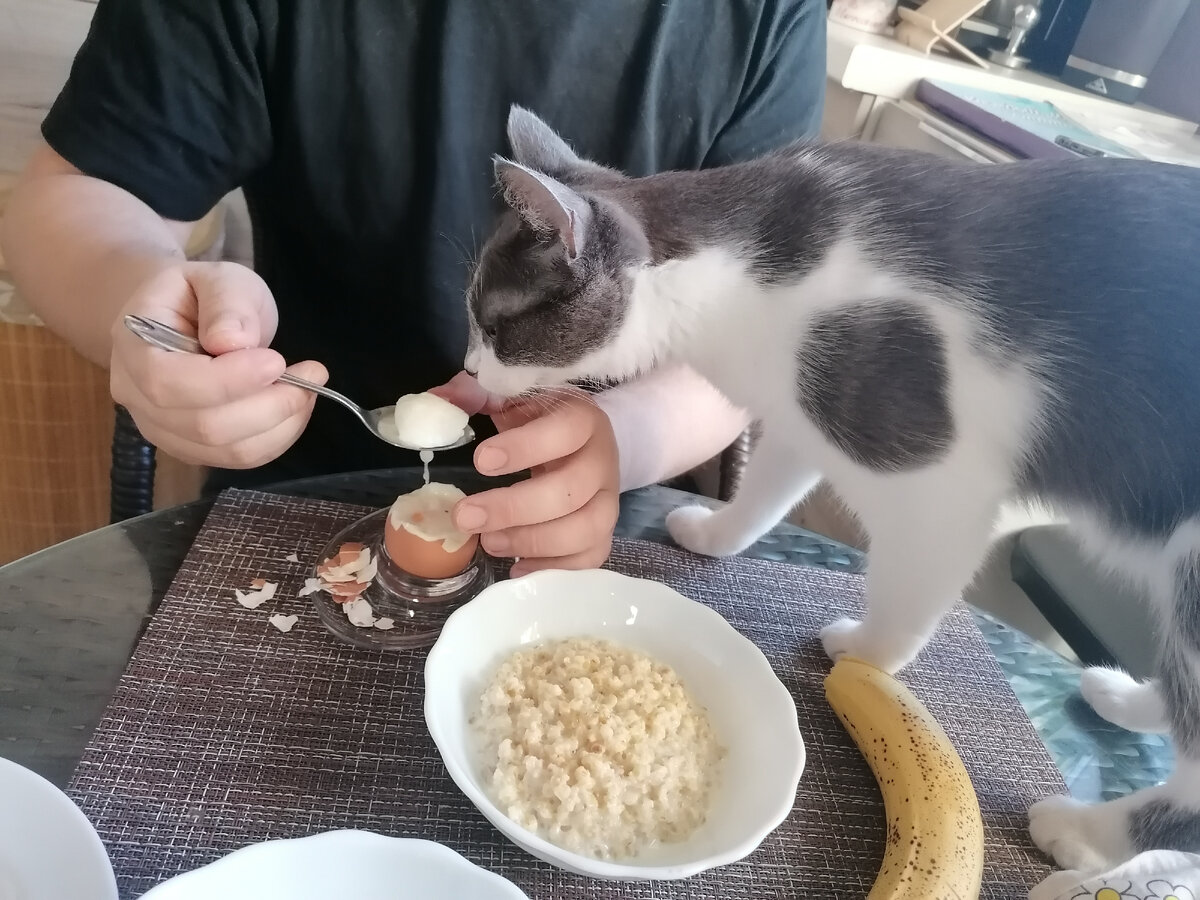 Моя ПРЕЛЕСТЬ! Дай-дай-дай!