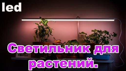 Светодиодное освещение для растений: купить LED освещение для растений | LED STORY