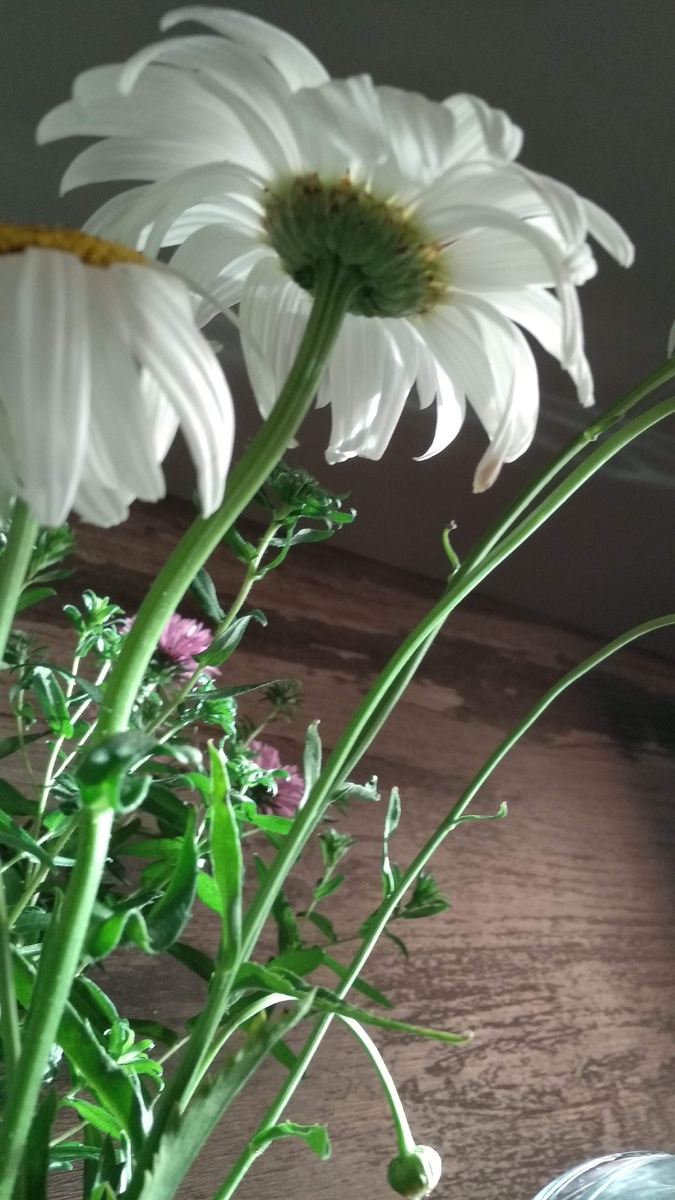 очевидный выбор