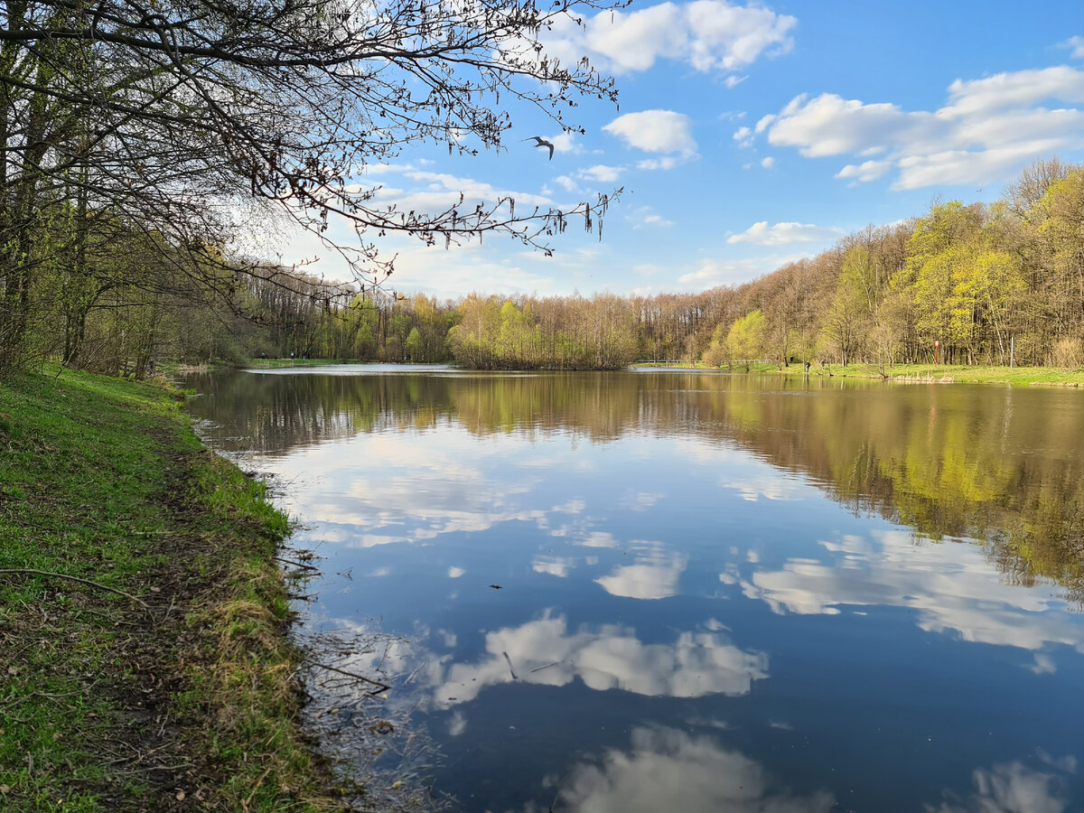 Гуляю по Терлецкому парку и рассказываю о пиве Ostrovica Purpls | Beer &  Travel | Дзен