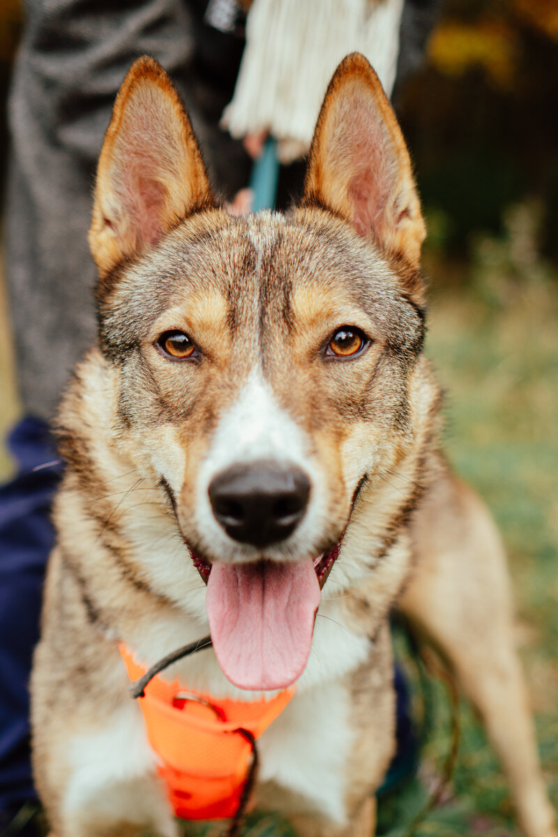 Фото-собственность канала