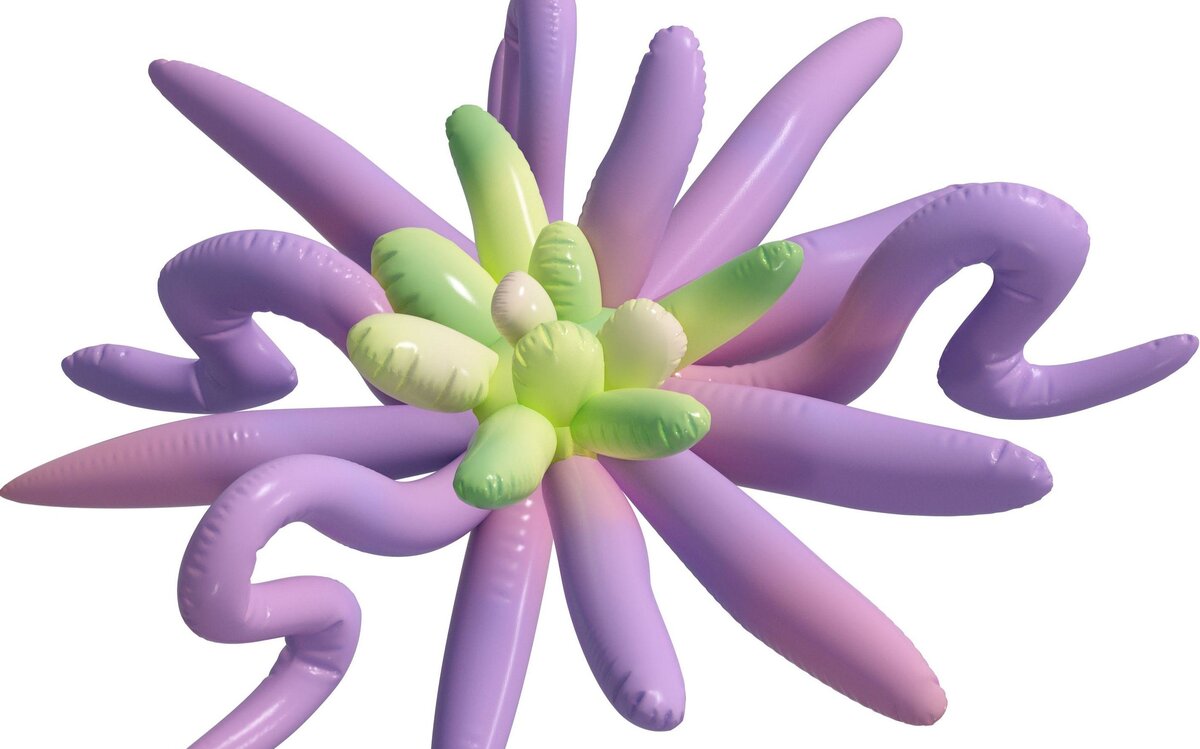     Куда сходить на выходных: мысли о доме, джазовые импровизации и фестиваль растений