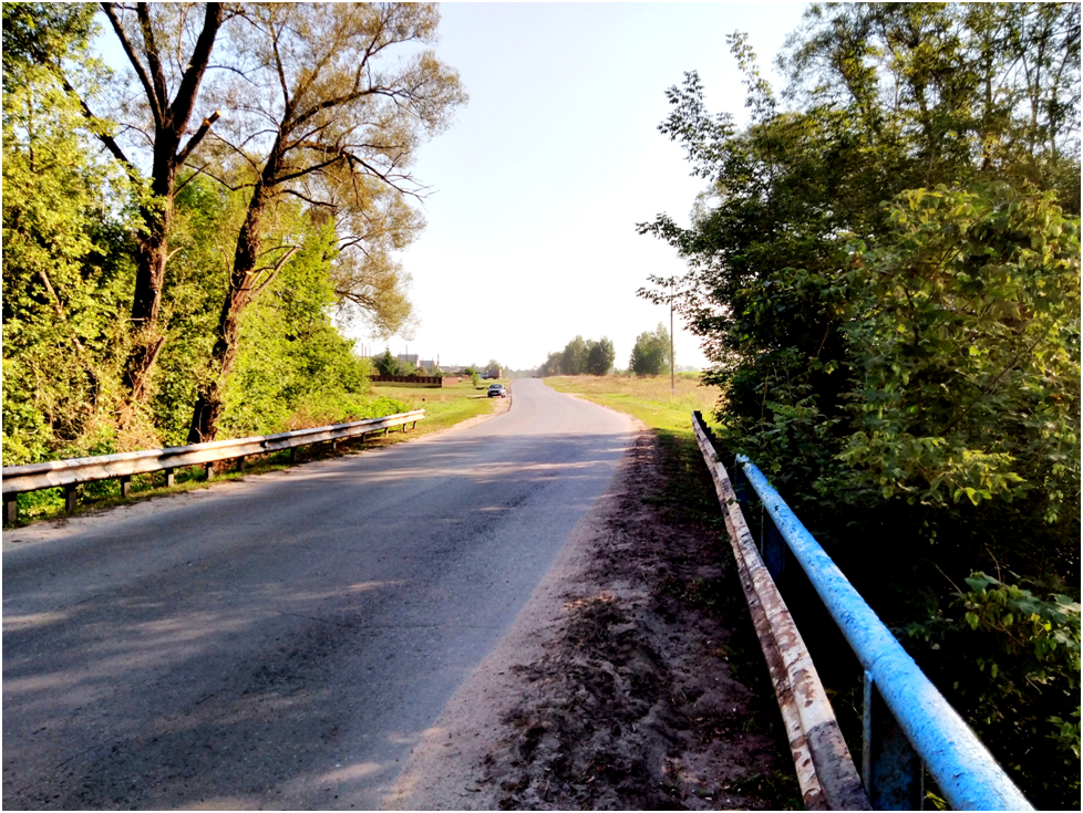 Вид с моста через ручей Дунайка на главную дорогу в село Березовка 1-я. 
