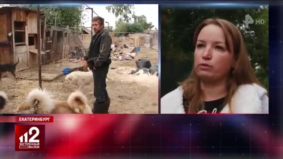    Сосед с 80 псами превратил в кошмар жизнь екатеринбуржцев