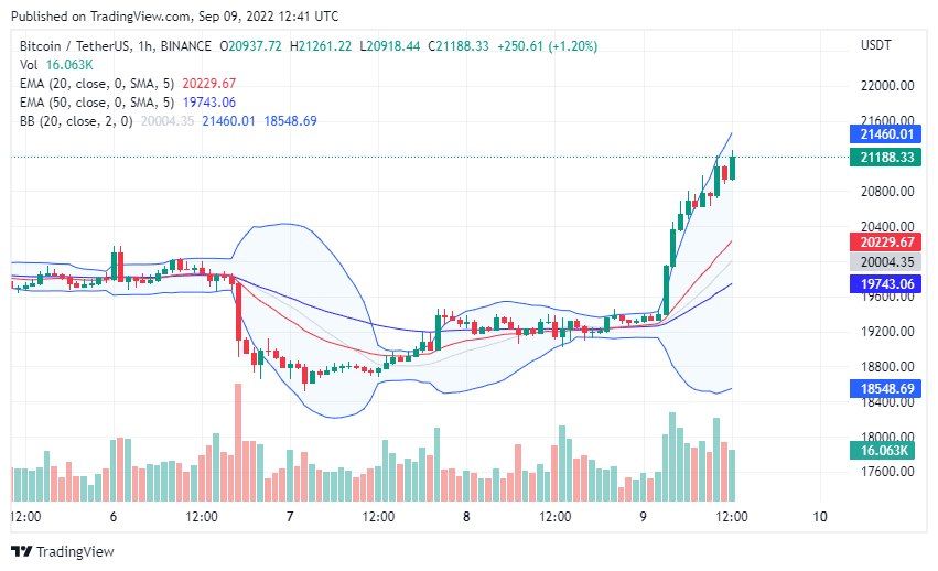 Биткойн (BTC) Цена Дневной таймфрейм. Источник: TradingView