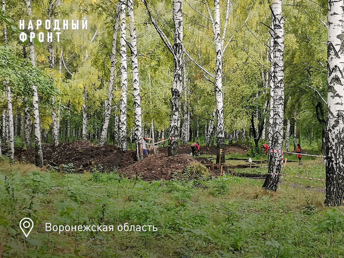 семилуки парк три самолета