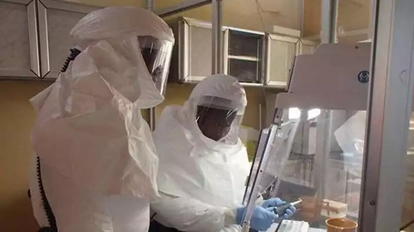 Рукотворен ли ковид-19?