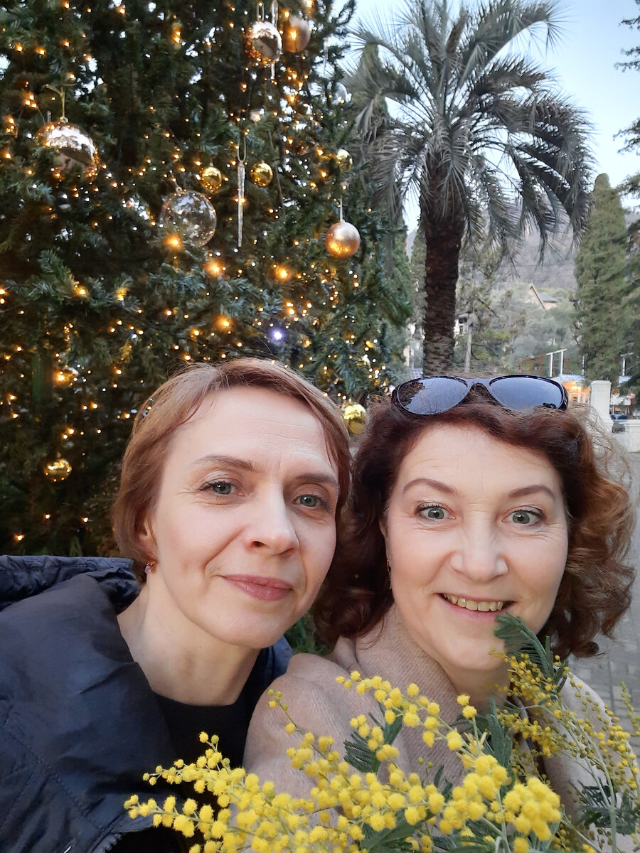 Фото Алены Бо. Мимоза и новогодняя елка. Правда, необычно? А позади елки виднеется пальма. Что лишнее на картинке? Только не говорите, что мы с Галей.😄