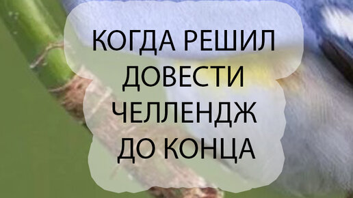 Почему главный герой решил побороться за мое