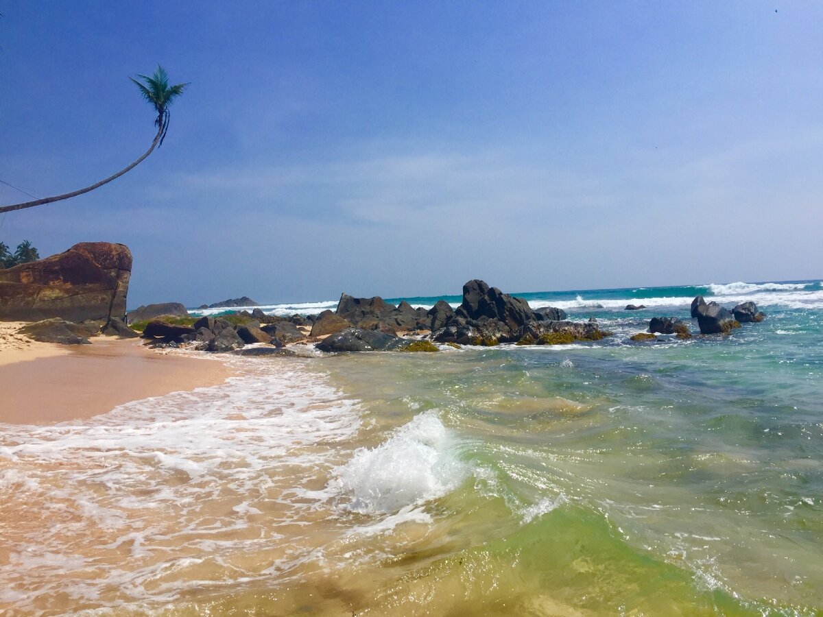 Фото с нашего совместного отпуска