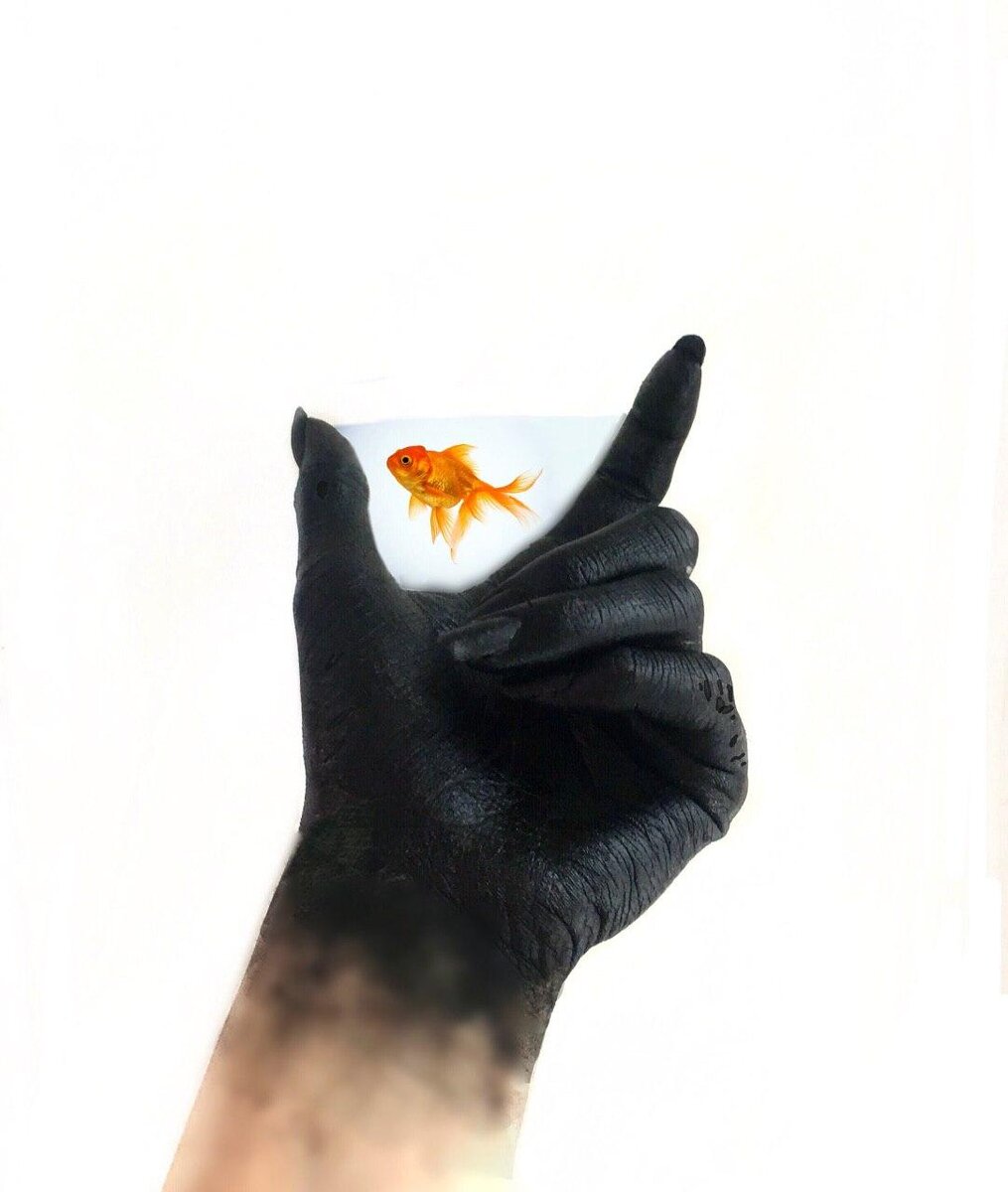 Интересная идея.