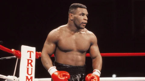 Все изображения в статье взяты из открытых источников