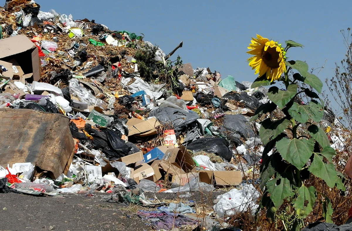 Разделение урн для мусора – давняя головная боль не только туристов, но и самих немцев. Уже много лет органический мусор выбрасывается здесь в отдельные контейнеры, неорганический – в другие. Что же касается уличных урн, то здесь всё просто – даже выброшенная мимо урны бумажка может стать поводом для штрафа. Особенно рьяно немецкие полицейские следят за курильщиками. Бросать окурки на землю категорически нельзя – штрафы за эту пустяковую провинность растут с каждым город, и в отдельных городах они могут достигать 100 евро. 
