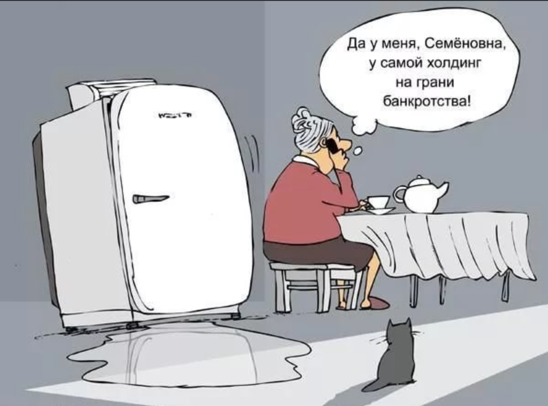 Банкротство холдинга. Банкротство прикол. Банкротство карикатура. Шутки про банкротство. Банкротство юмор.